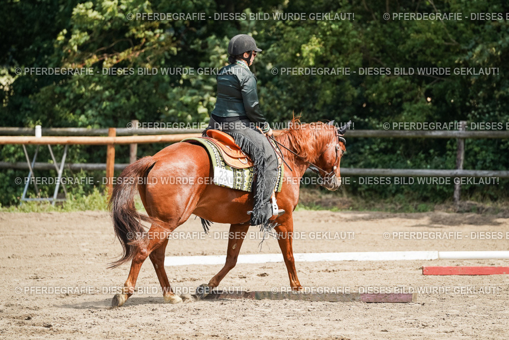 DSC06508 | Pferdegrafie