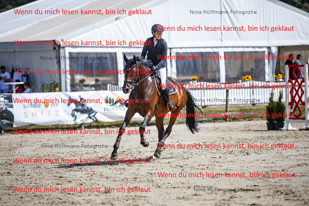 BK1A5136 | Turnierbilder Turnierfotos Nina Hüffmann Turnierfotografie Pferdefotografie Tierzeichnung Haustierzeichnung Pferdezeichnung Hundezeichnung Videograf  - Realisiert mit Pictrs.com