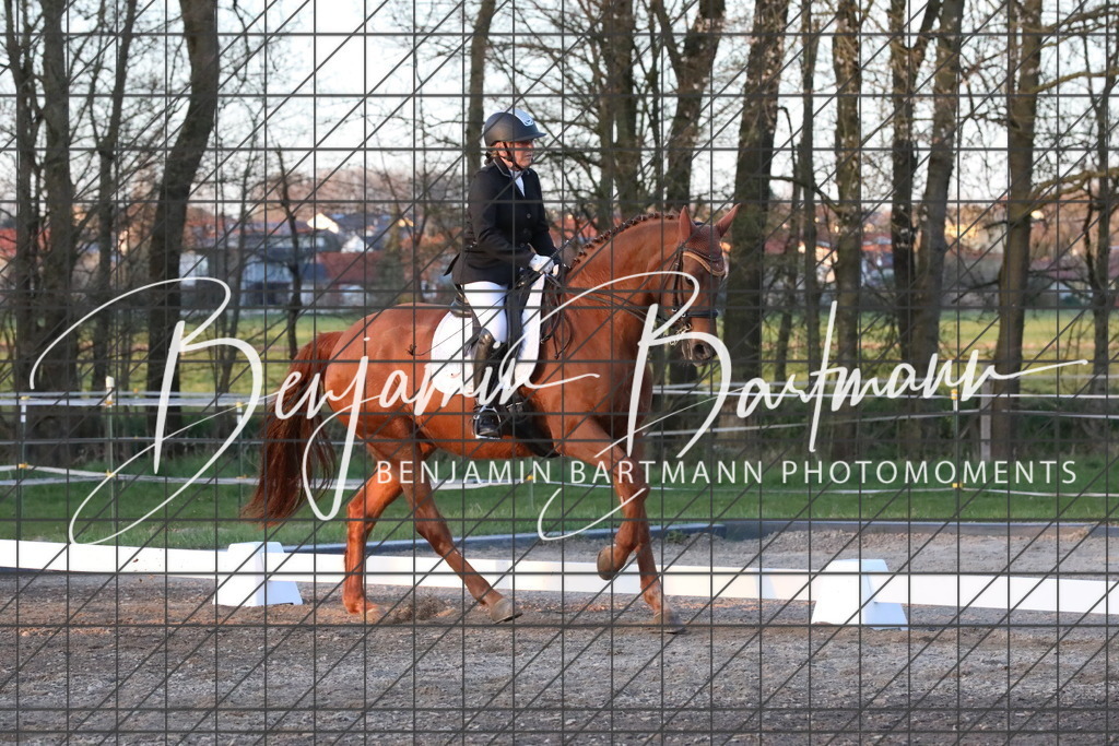 AZ2A6025 | Benjamin Bartmann Photomoments