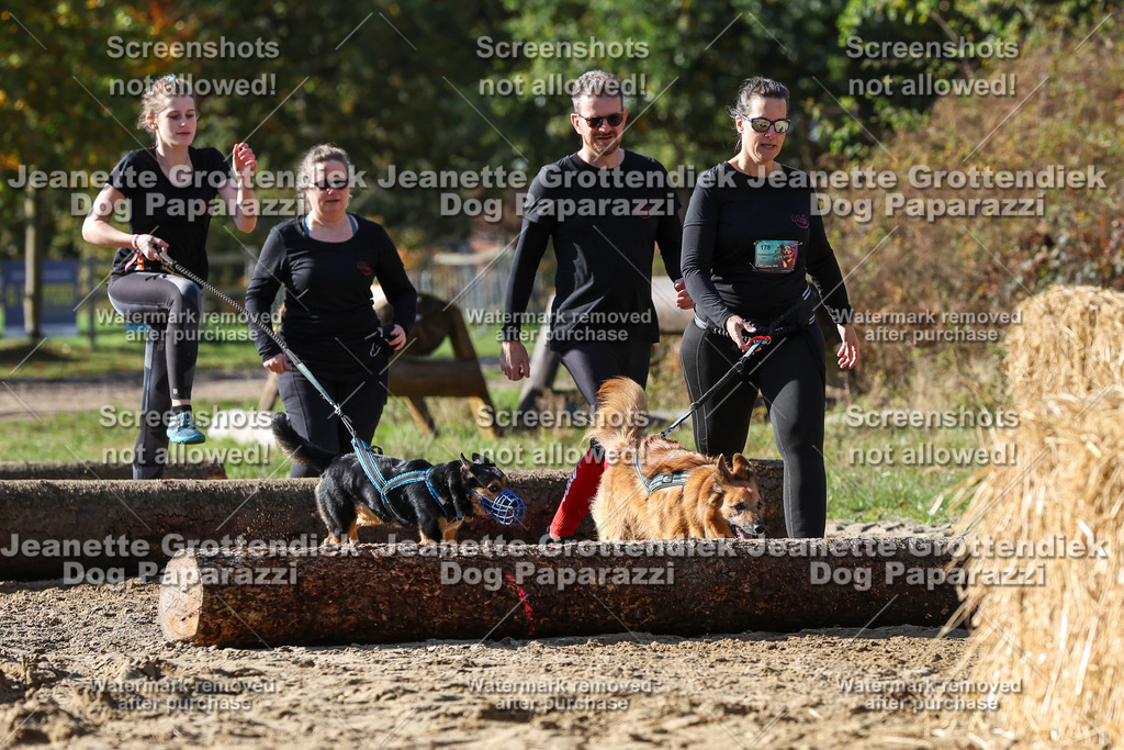 Dog Paparazzi - Strongdog 10-25-4835 | Dog Paparazzi Jeanette Grottendiek Fotografie & Videografie - Realisiert mit Pictrs.com