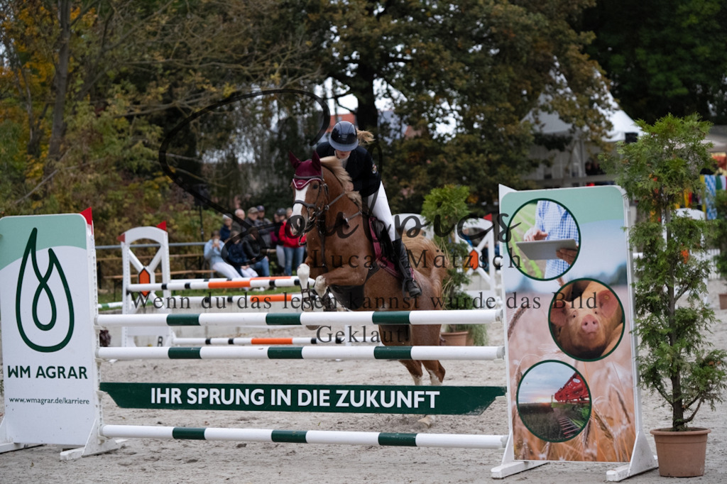 A7V08888 | Turnier/Reitfotograf