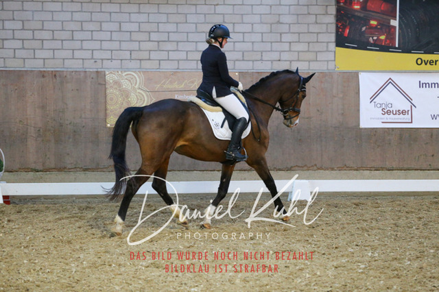 IMG_3022 | Turnierfotos kaufen im Webshop von Daniel Kuhl Photography – entdecke professionelle Reitsportfotos aus Turnieren & Events. Hochwertige Turnierbilder online bestellen & sichern. Jetzt Fotos von Reitsportturnieren kaufen!