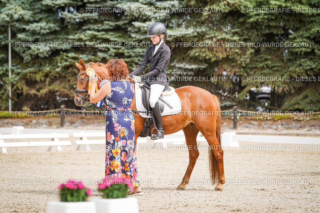 DSC02622 | Pferdegrafie