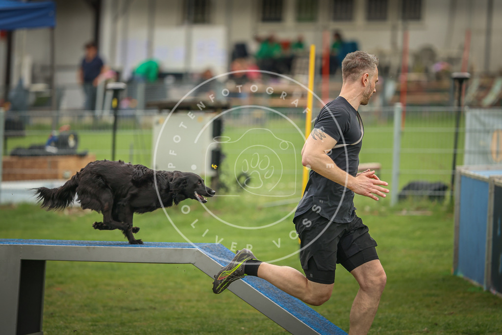 Pfotenfotografie_0L8A1230 | Hundefotografie, Tierfotograf, Pfotenfotografie, Fotoshooting Hund, Hunde Portrait, Hundesport, Hundeportraits, Heideshooting, Hunde, Sportfotograf, Hundefotograf, Turnierhundsport, THS,  - Realisiert mit Pictrs.com