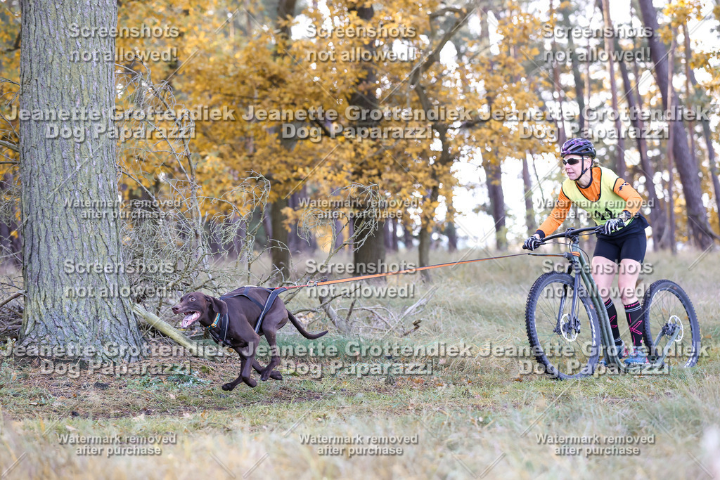 Dog Paparazzi - Elsholz 25 -71 | Dog Paparazzi Jeanette Grottendiek Fotografie & Videografie - Realisiert mit Pictrs.com