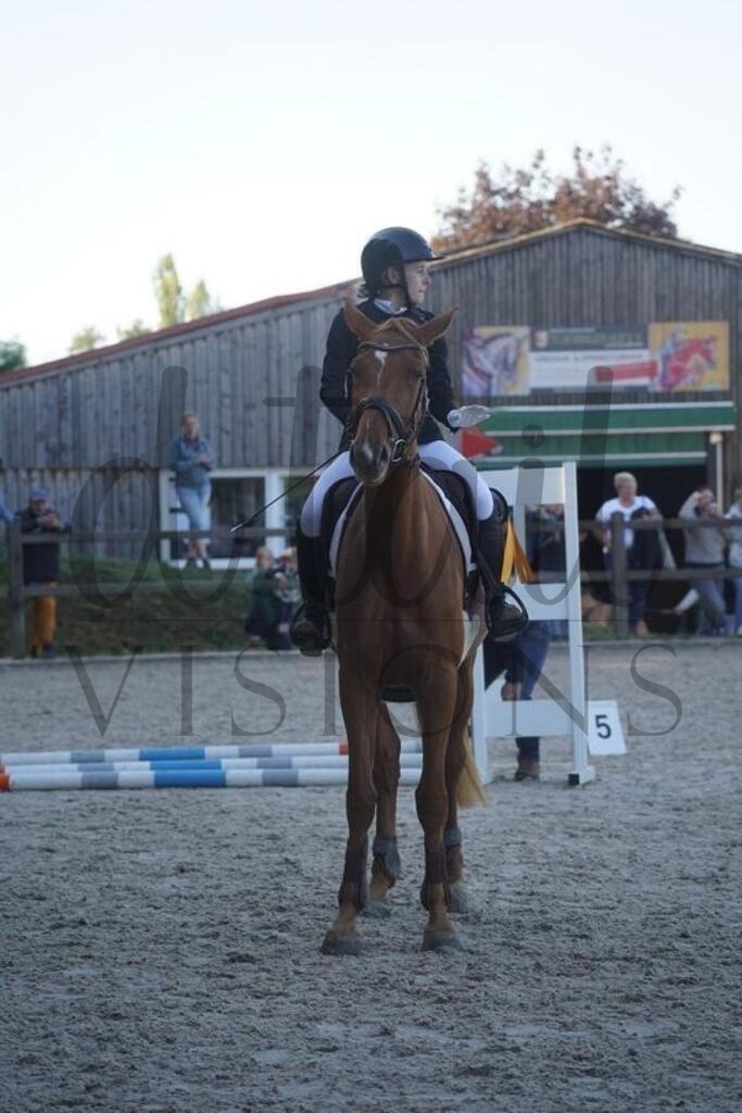 tgbhsonntag (127) | d.tail Visions - Shop - Realisiert mit Pictrs.com