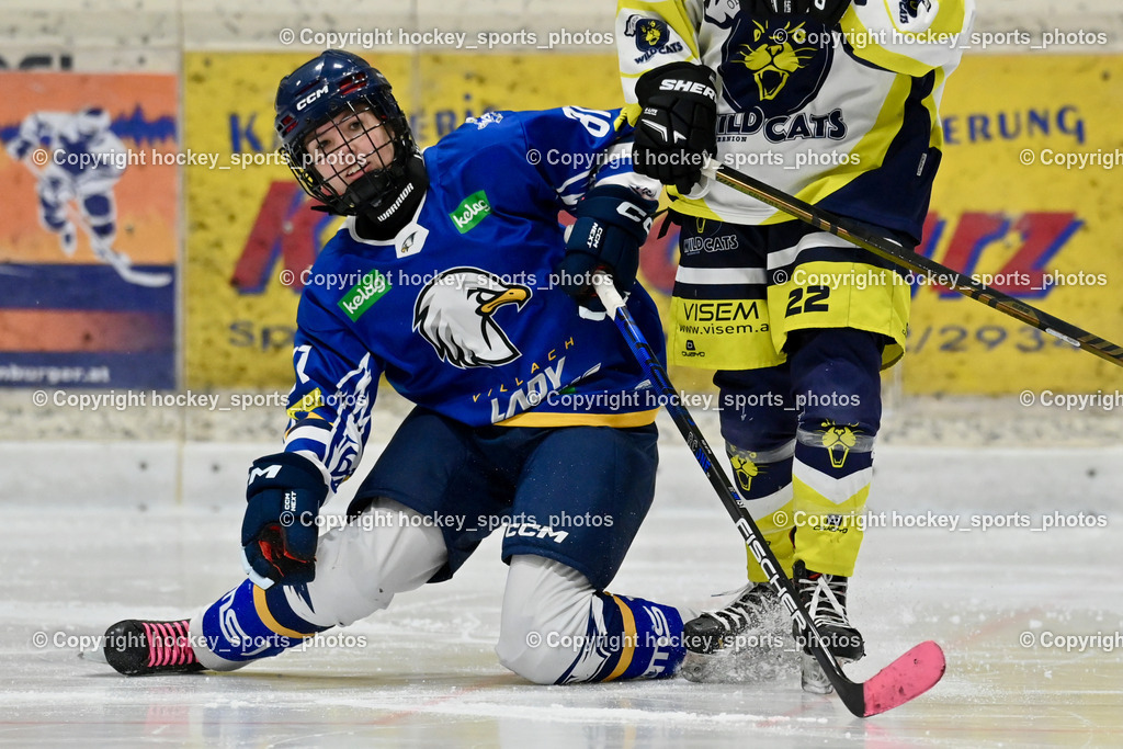 Wildcats Paternion vs. Lady Hawks  | #81 Zussner Julia LADY HAWKS, Wildcats Paternion vs. Lady Hawks , Wildcats Paternion vs. Lady Hawks  am 27.01.2025 in Spittal an der Drau (Eissportzentrum Spittal), Austria, (Photo by Bernd Stefan)