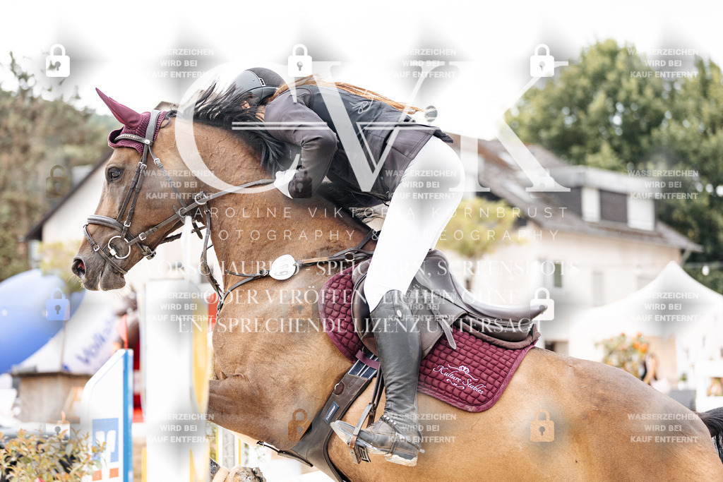 CK906169 | Turnierfotografie Pferdefotografie Trier Rheinland-Pfalz Pferdesport Reitsport Tierfotografie Sportfotografie Pferdevideo Pferdevideografie Equestrianvideography equestrianphotography  - Realisiert mit Pictrs.com