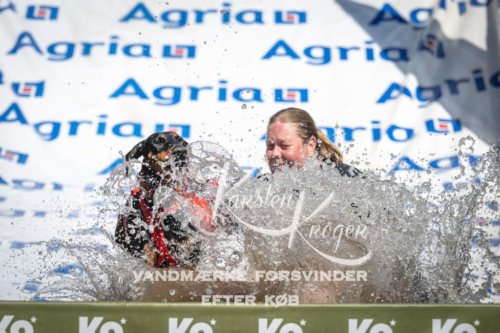 1350_ZZ91471 | kk-dogfotos