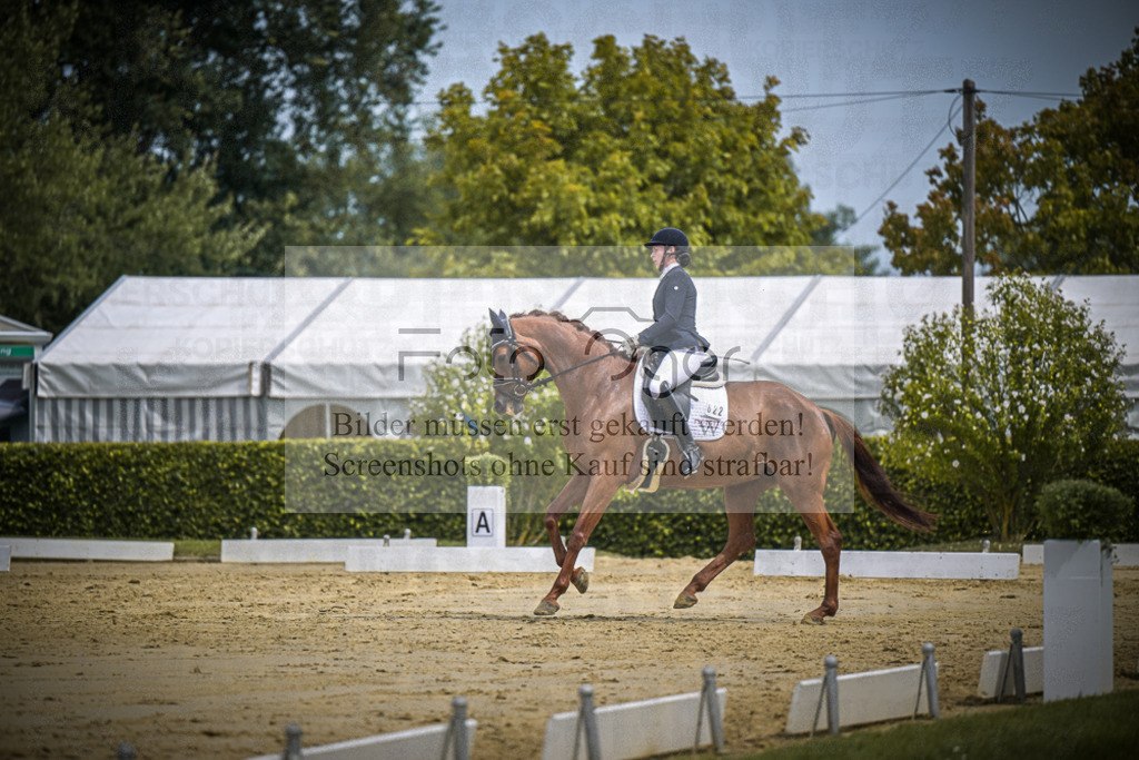 DOS_2583 | Entdecke hochwertige Reitturnierfotos von Foto Oger. Professionell, emotional und authentisch – jetzt Lieblingsmomente im Shop bestellen.Deutschlandweite Turnierfotografie. - Realisiert mit Pictrs.com