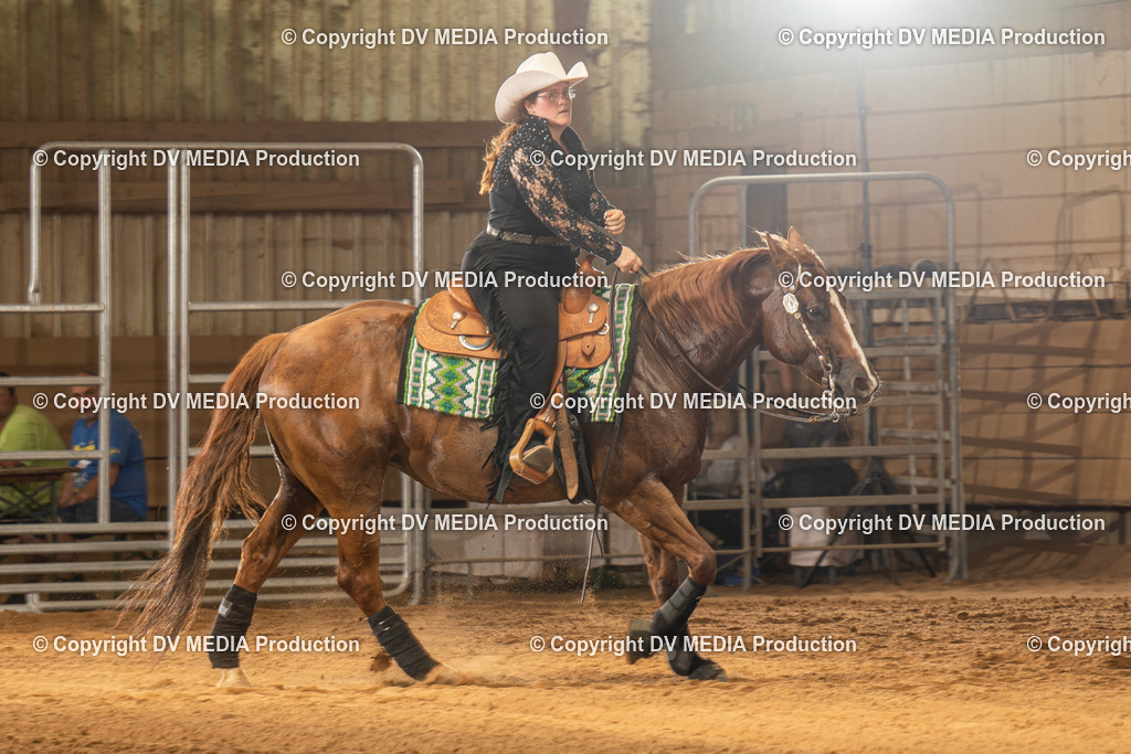 NID02034 | dv-media-shop - Realisiert mit Pictrs.com