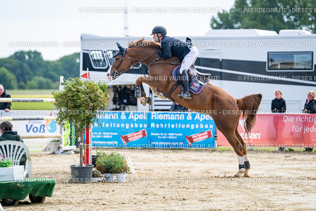 DSC06667 | Pferdegrafie