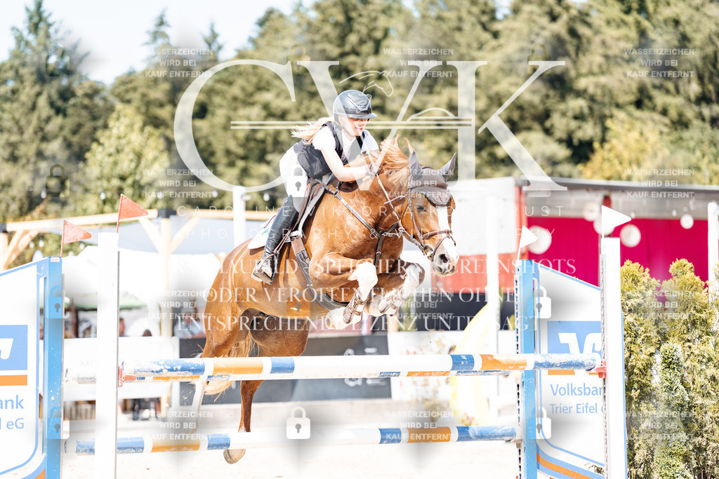 CK900985 | Turnierfotografie Pferdefotografie Trier Rheinland-Pfalz Pferdesport Reitsport Tierfotografie Sportfotografie Pferdevideo Pferdevideografie Equestrianvideography equestrianphotography  - Realisiert mit Pictrs.com