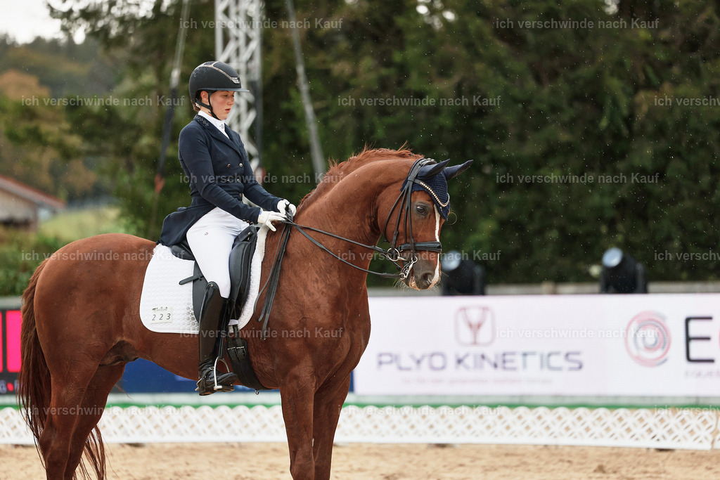 8_1-223-Klasse S_  -StoibPH-3947 | working equitationturnier fotograf videograf stoibphotography marixx film working equitation deutschland reitsport turnierfotografie eventfotografie equestrian events