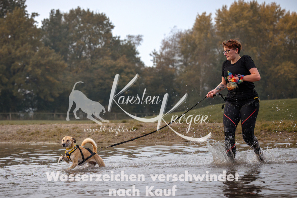 0828_ZZ91907 | kk-dogfotos