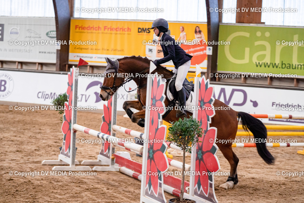 Kranichstein Tag 3-031 | dv-media-shop - Realisiert mit Pictrs.com