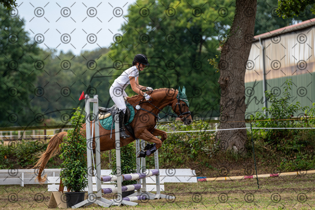 SHT_7530 | andre_photographic