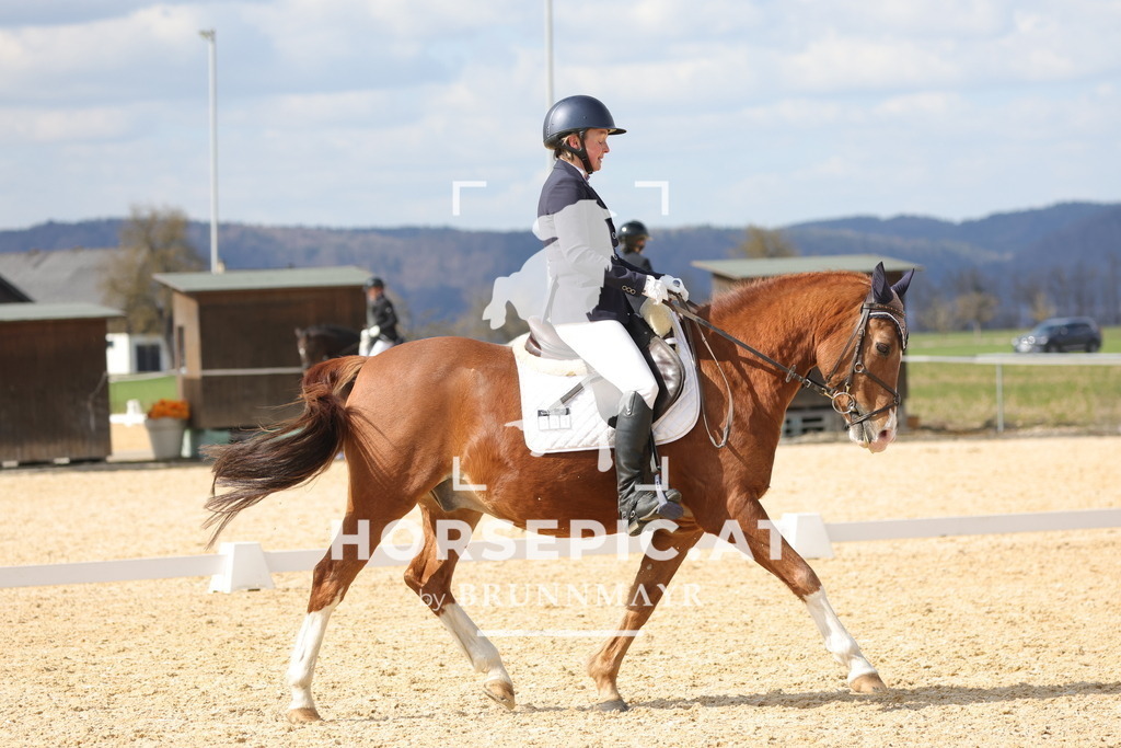 0P6A7641 | Willkommen bei Brunnmayr - Design & Fotografie – Ihrem Spezialisten für Reitturniere und Pferdeveranstaltungen in Oberösterreich, Salzburg und Bayern! Seit über 17 Jahren sind wir leidenschaftlich dabei.