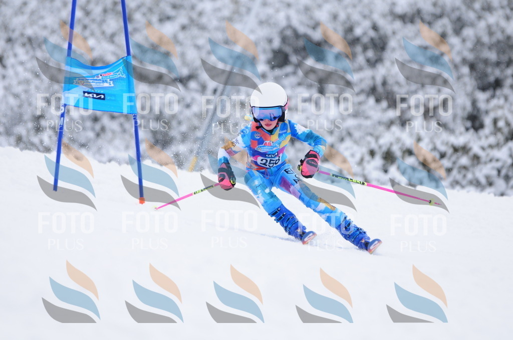 C2702 | holidayphoto