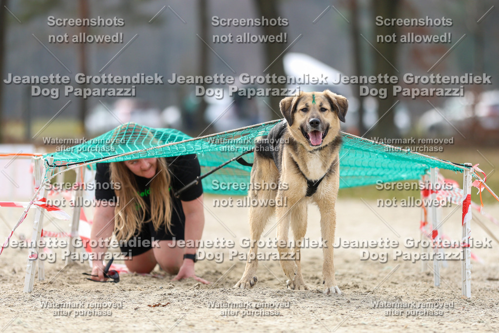 Dog Paparazzi - Strongdog North Mrz26-5777 | Dog Paparazzi Jeanette Grottendiek Fotografie & Videografie - Realisiert mit Pictrs.com