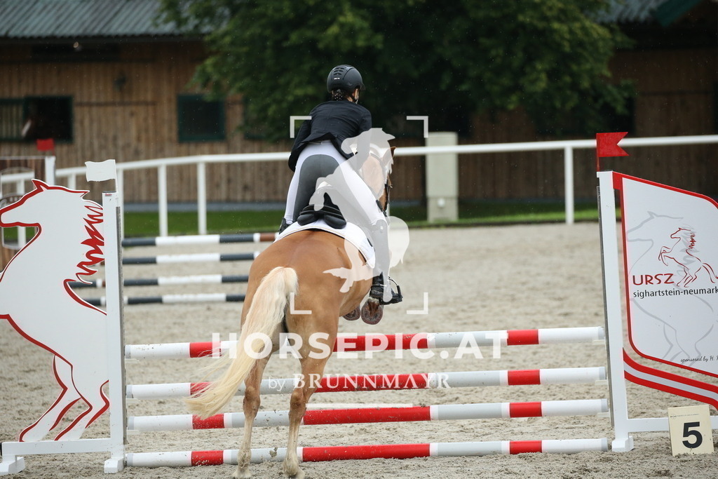 DL2Q0293 | Willkommen bei Brunnmayr - Design & Fotografie – Ihrem Spezialisten für Reitturniere und Pferdeveranstaltungen in Oberösterreich, Salzburg und Bayern! Seit über 17 Jahren sind wir leidenschaftlich dabei.