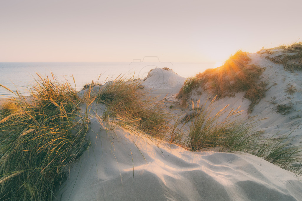 Meerzeit | Dünenimpression im Abendlicht in Zeeland - Realisiert mit Pictrs.com