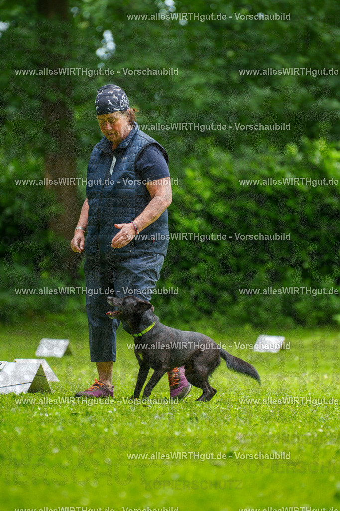 @allesWIRTHgut_Tierfotografie - www.allesWIRTHgut.de - 124322-7R509360 | Professionelle Tierfotografie in Mönchengladbach von Daniel Wirth (allesWIRTHgut). Liebevolle & natürliche Bilder von Hunden & Katzen für unvergessliche Erinnerungen.