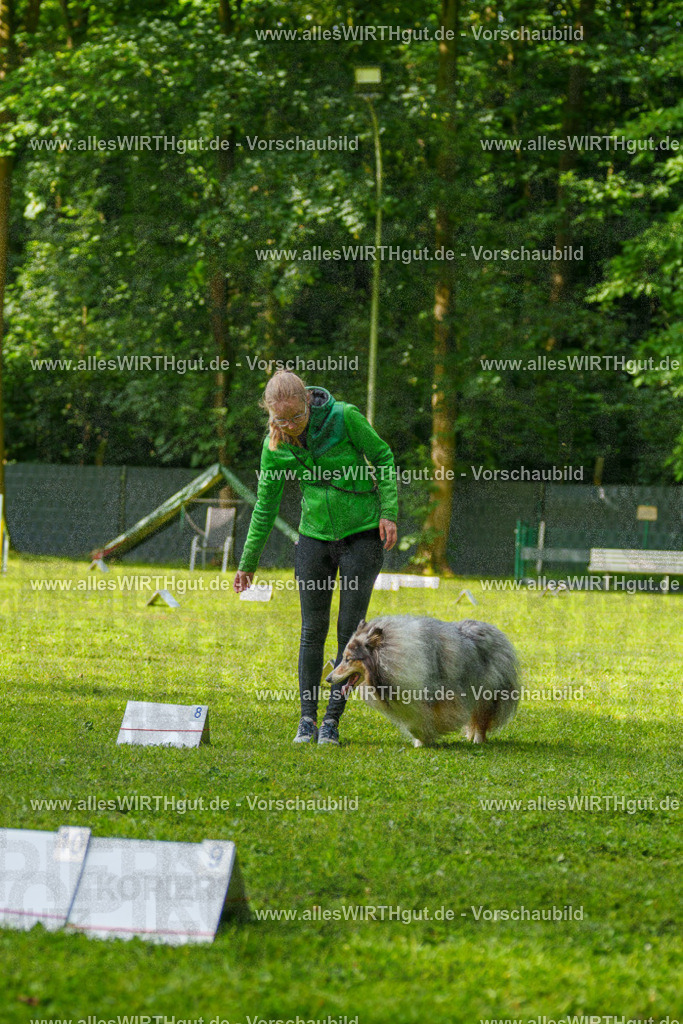 @allesWIRTHgut_Tierfotografie - www.allesWIRTHgut.de - 7R502136 | Professionelle Tierfotografie in Mönchengladbach von Daniel Wirth (allesWIRTHgut). Liebevolle & natürliche Bilder von Hunden & Katzen für unvergessliche Erinnerungen.