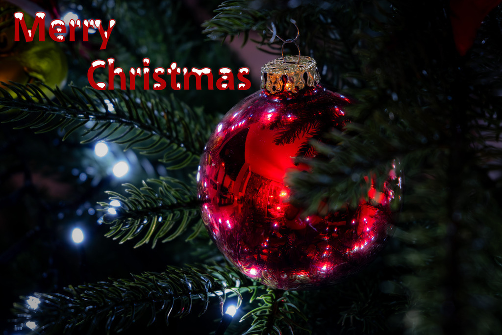Merry Christmas Nr 1-2198 | Tier- & Landschaftsfotografie und Porträtshootings. Entdecke einzigartige Fotokunst als Wandbild, Tasse oder Mauspad – mit Leidenschaft fotografiert - Realisiert mit Pictrs.com
