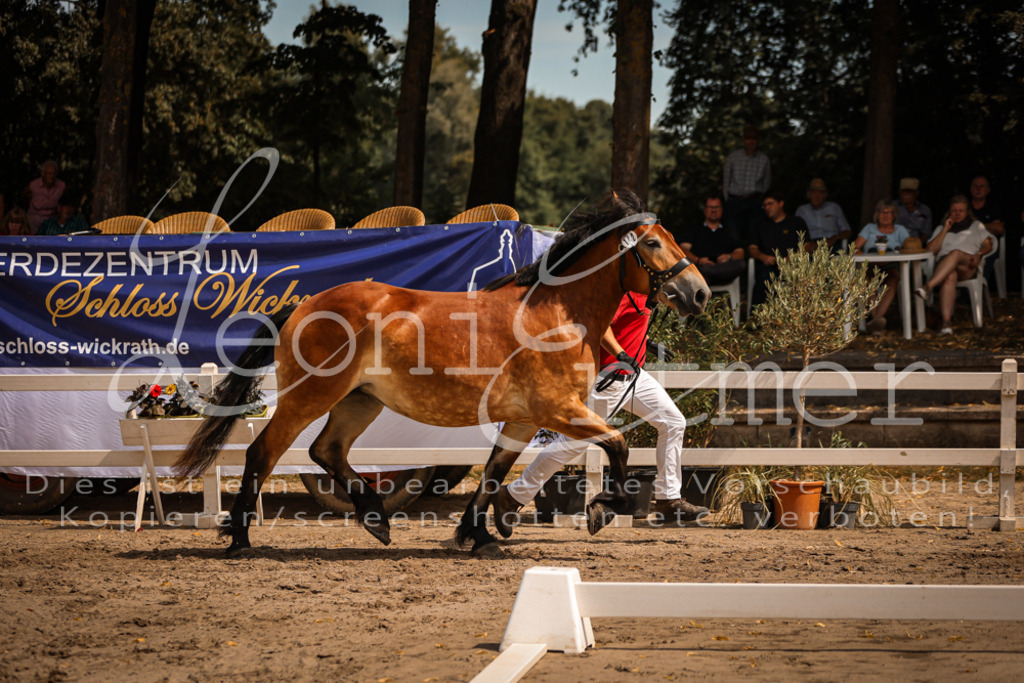 2.Sa00010 | Leoni Ertmer Photography - Realisiert mit Pictrs.com