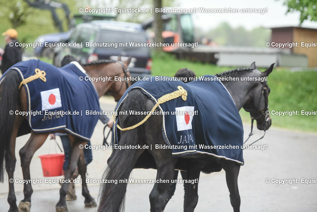 20230514_Impressionen_0185 | equistock