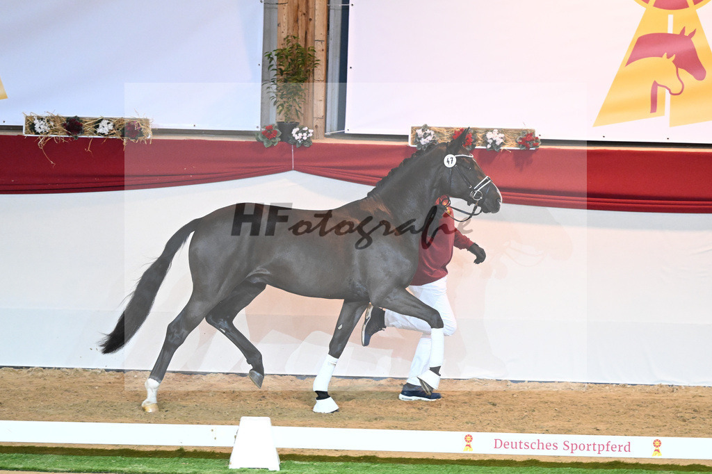 Kat-Nr. 47 Escamillo_Nowak Sonnenbrink GmbH_1230161 | hf-fotografie - Realisiert mit Pictrs.com