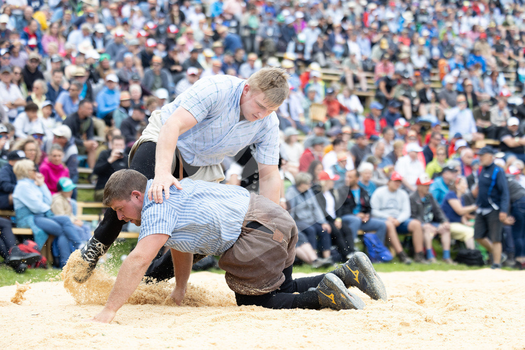 Rigi2025_1863 | Die Schwinger des Schwyzer Kantonalen Schwingerverbandes: Fotos, die Dynamik und Leidenschaft festhalten, sowie emotionale Momente aus dem traditionellen Schwingsport zeigen. - Realisiert mit Pictrs.com