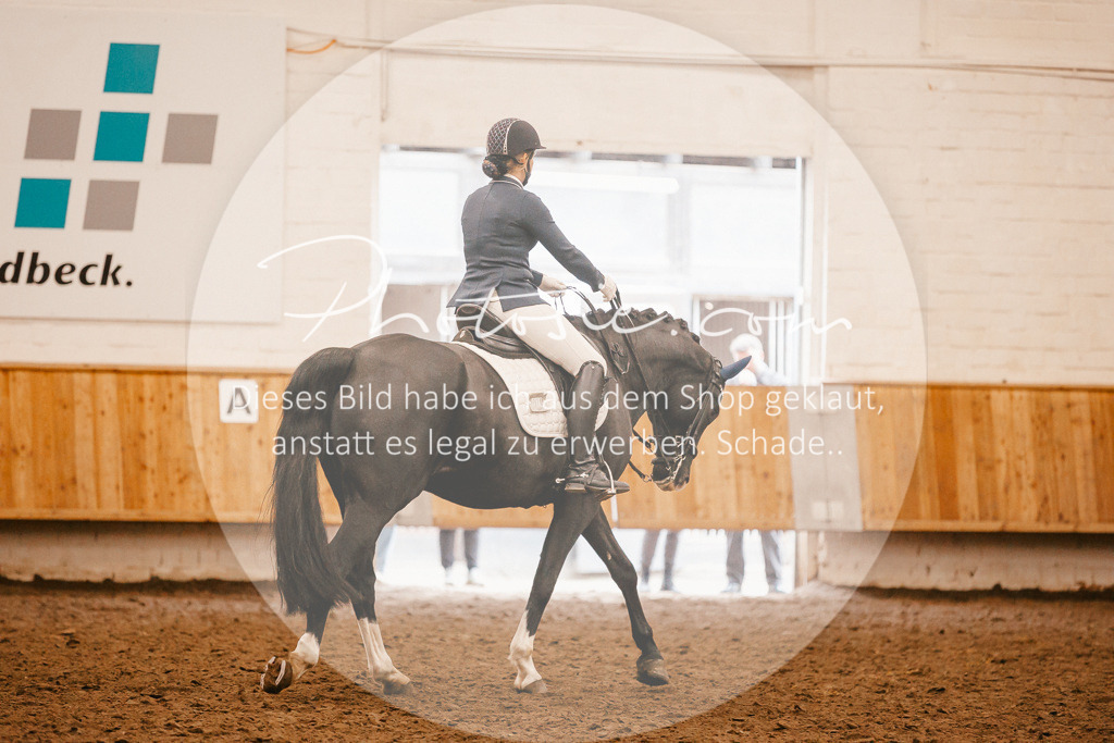 3I6A2703 | Stimmungsvolle Portraits und Reitsportfotografie im Ruhrgebiet und im Münsterland.

Pferdefotografie, Hundefotografie, Tierfotografie, Reportagen, Portraits von Tier und Mensch, Turnierfotografie in Bochum, Recklinghausen, Marl, Haltern am See, Dülmen.. - Realisiert mit Pictrs.com