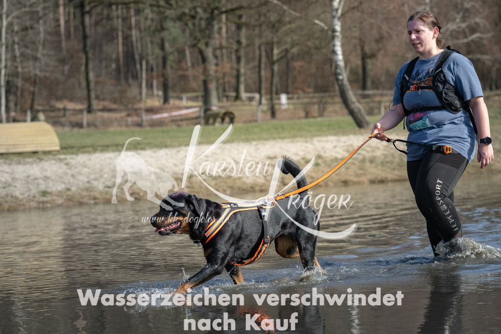 1331_ZZ96794 | kk-dogfotos