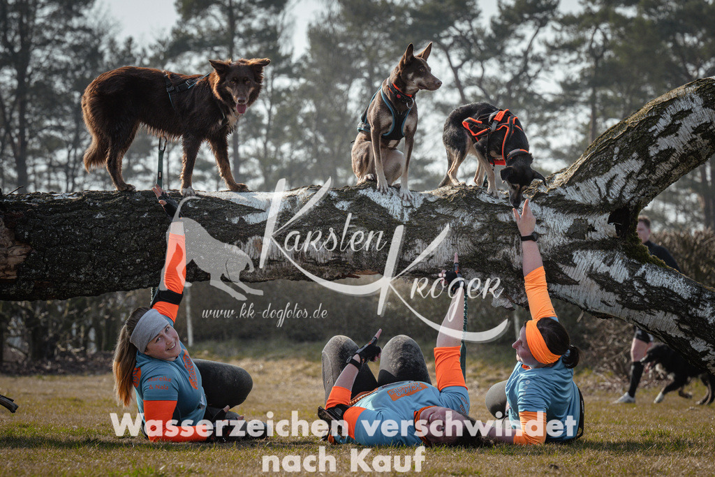 1045_ZZ93834 | kk-dogfotos