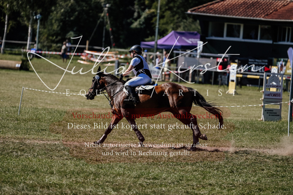 DSC_1501 | Pferde- und Turnierfotografie in Westsachsen. Pferdeportraits, Auftragszeichnungen und intuitive Kunst.