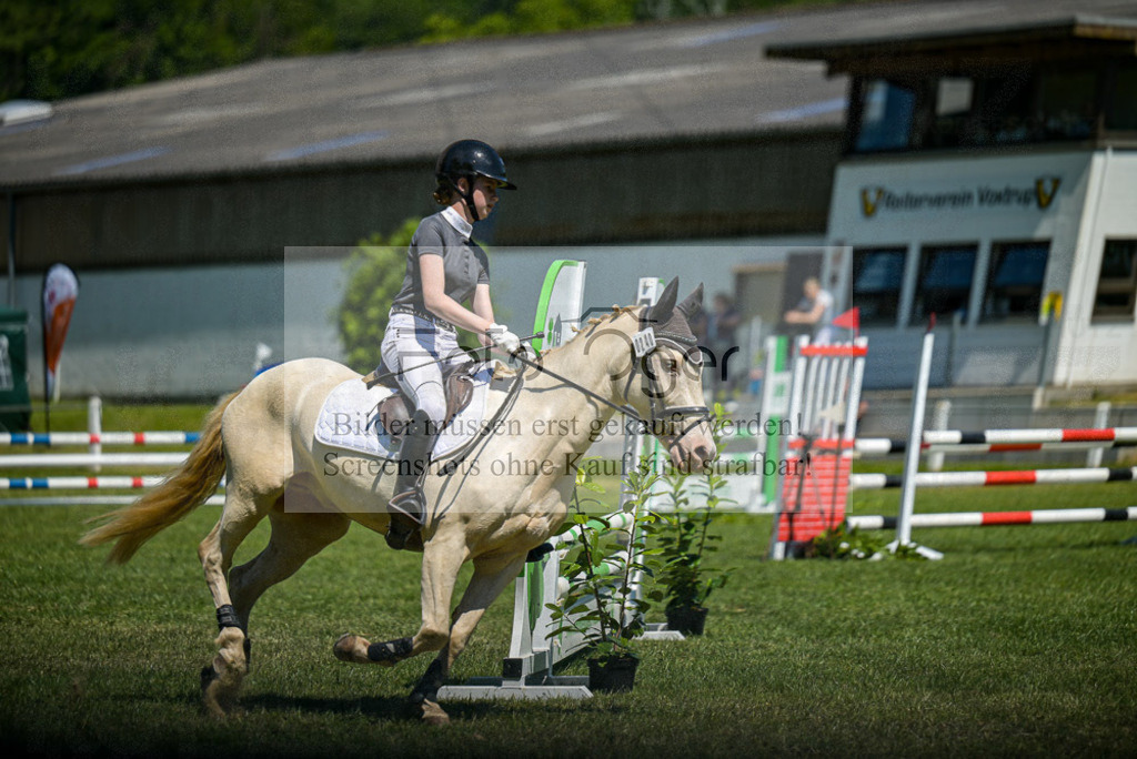 Reitturnier Voxtrup | Entdecke hochwertige Reitturnierfotos von Foto Oger. Professionell, emotional und authentisch – jetzt Lieblingsmomente im Shop bestellen. - Realisiert mit Pictrs.com