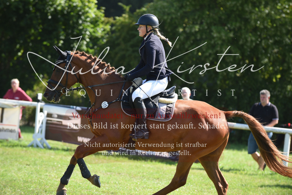 DSC_9226 | Pferde- und Turnierfotografie in Westsachsen. Pferdeportraits, Auftragszeichnungen und intuitive Kunst.