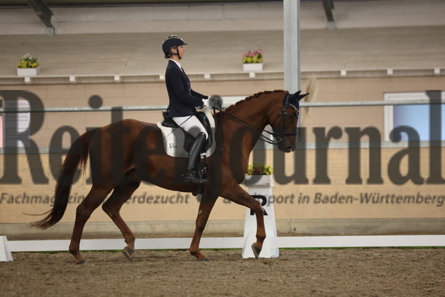 Waghäusel-Wiesental_2024_Prfg.Nr.08_1.WP_U25_sabine Schmidt_Quickstepp II (2) | Alle Fotos der Reiterjournal Fotografin Doris Matthaes im Reiterjournal Online-Fotoshop. - Realisiert mit Pictrs.com