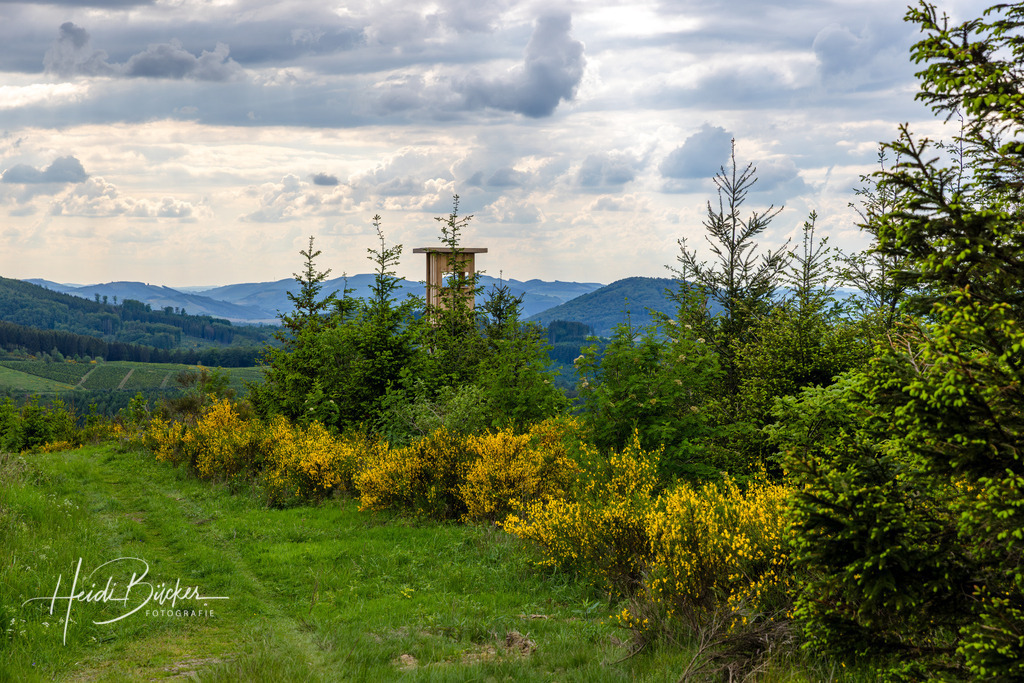 Westfeld und Umgebung 045 | Bilder und Impressionen zu jeder Jahreszeit aus dem Sauerland im Naturpark Sauerland-Rothaargebirge - Realisiert mit Pictrs.com