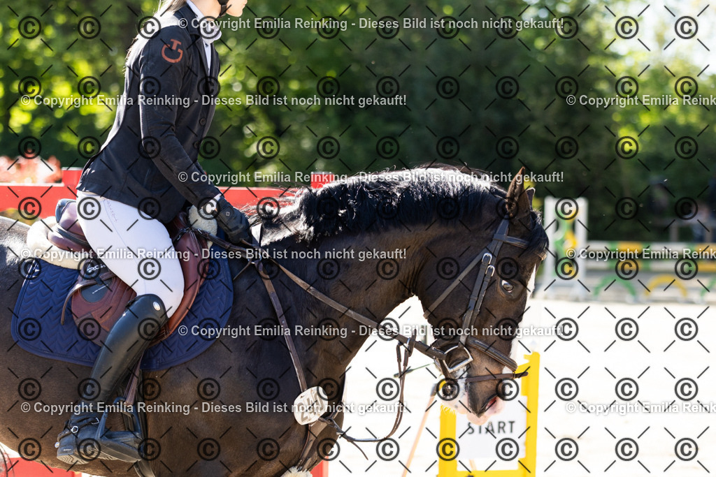 CL5A3333 | Emilia Reinking Fotografie - Realisiert mit Pictrs.com