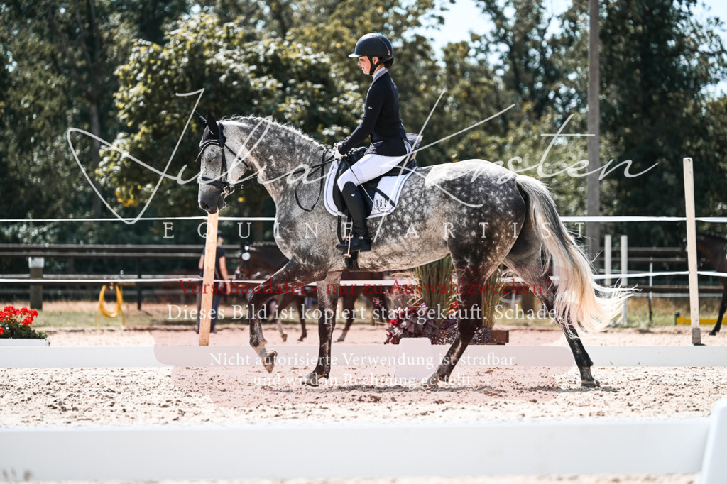 DSC_5604 | Pferde- und Turnierfotografie in Westsachsen. Pferdeportraits, Auftragszeichnungen und intuitive Kunst.