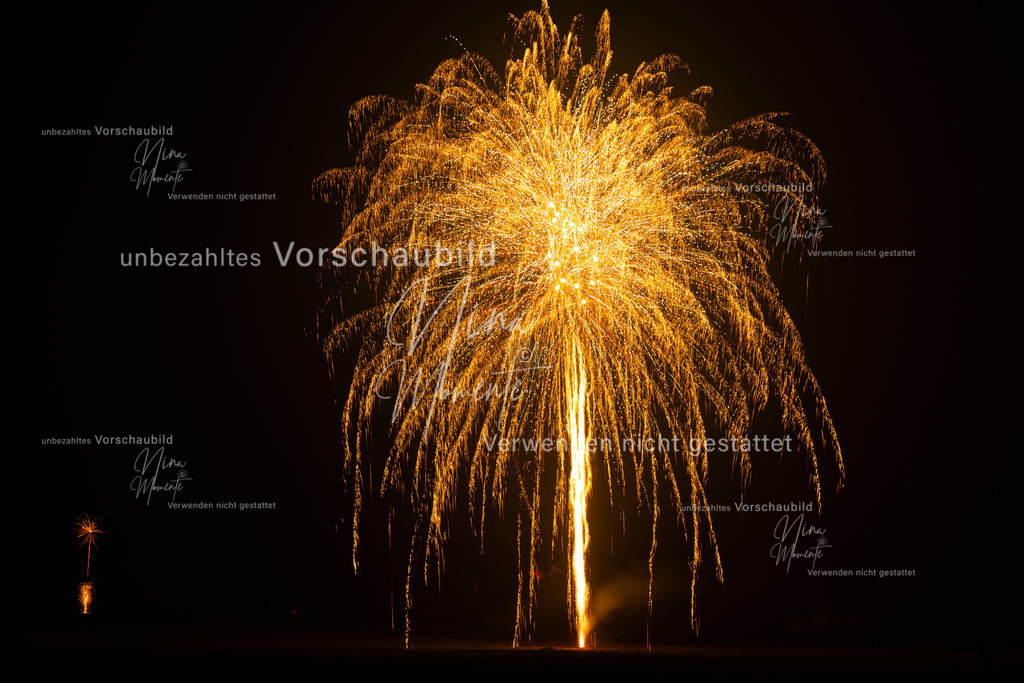 _16A2199-1 | Einzigartige Fotos von Hunden & Menschen –Actionfotos, Portraits, Vereinsaufnahmen & Paarshootings – authentisch, lebendig & mit Herz.