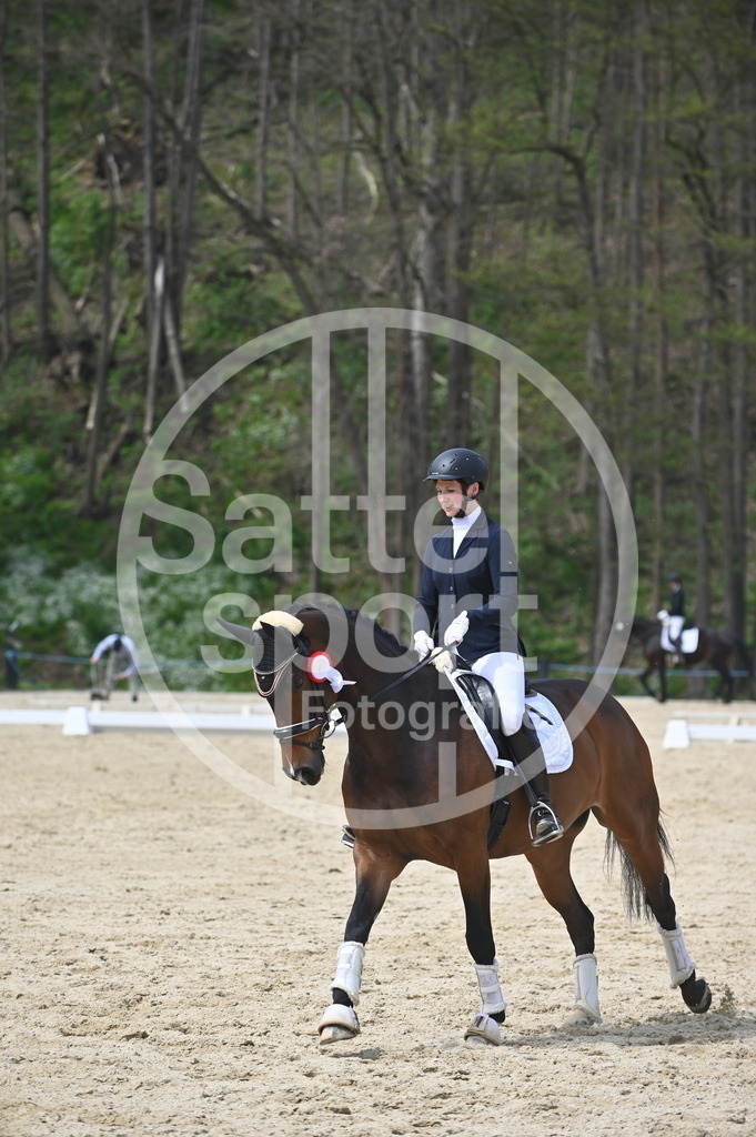 DSC_3711 | sattelsport - Realisiert mit Pictrs.com