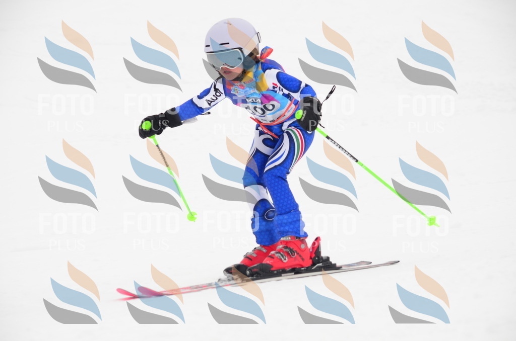 C1385 | holidayphoto