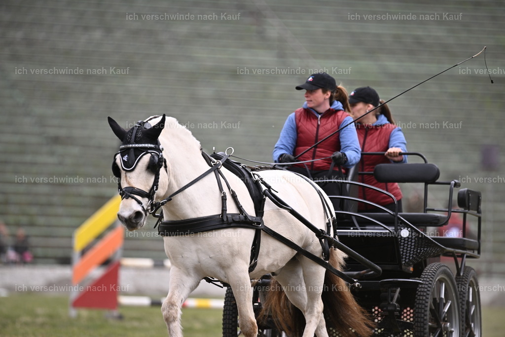 PI26_Show_Sara_Landvogt_226_0869.JPG | working equitationturnier fotograf videograf stoibphotography marixx film working equitation deutschland reitsport turnierfotografie eventfotografie equestrian events