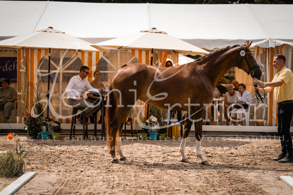 2. Fr00016 | Leoni Ertmer Photography - Realisiert mit Pictrs.com