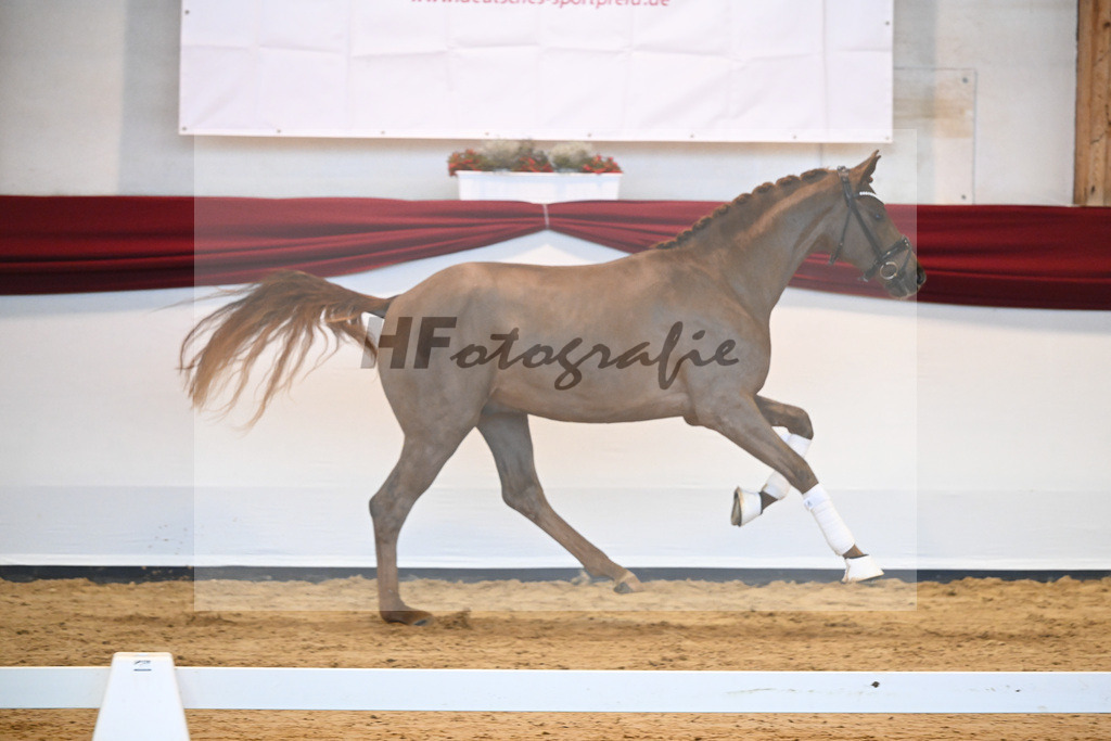 Kat-Nr. 7 v. Bon Courage_Plank_66220094 | hf-fotografie - Realisiert mit Pictrs.com