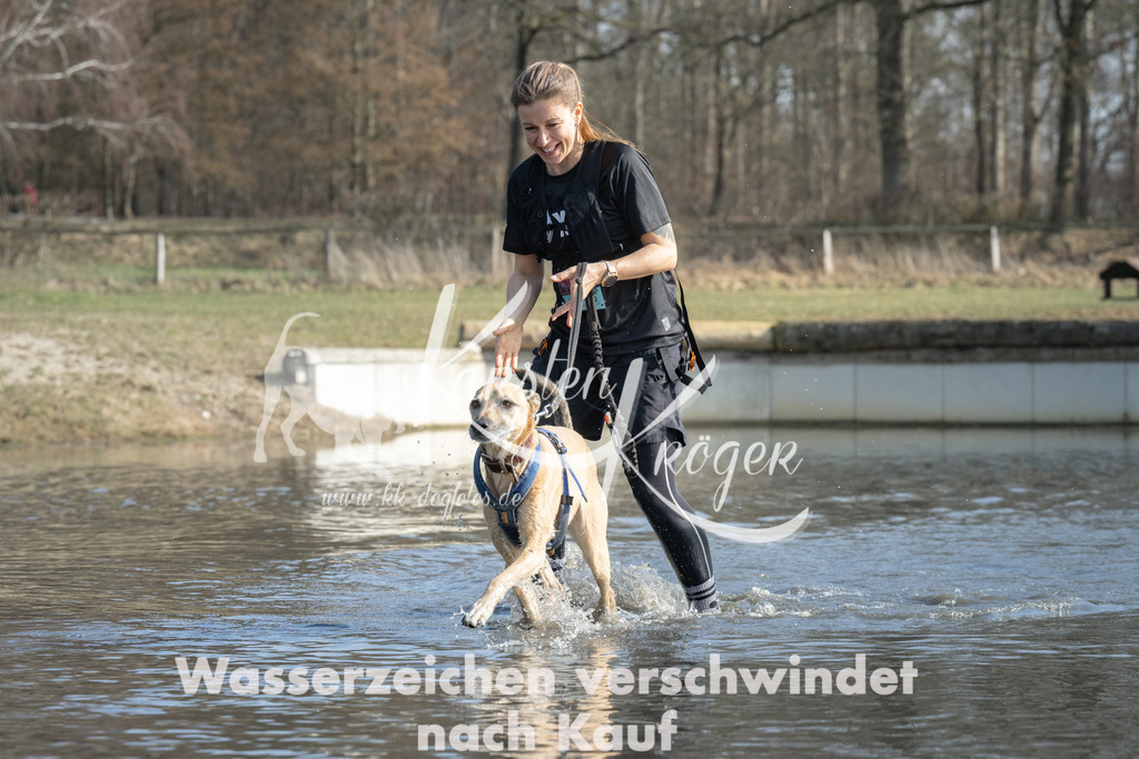 1331_ZZ96835 | kk-dogfotos